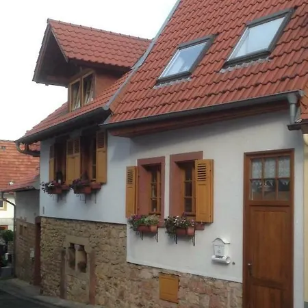 Ferienwohnung Bildgasse Neustadt an der Weinstrasse Exterior photo