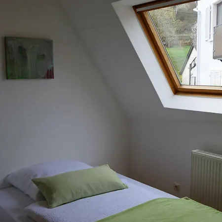 Ferienwohnung Bildgasse Neustadt an der Weinstrasse Exterior photo